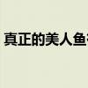 真正的美人鱼有多丑（美人鱼是怎么灭绝的）