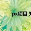 px项目 知乎（px项目是什么意思）