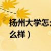 扬州大学怎么样 就业前景排名（扬州大学怎么样）