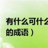 有什么可什么的四字成语大全（有什么可什么的成语）