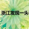 浙江发现一头神兽（浙江一神兽撞跳入民宅）