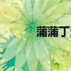 蒲蒲丁泡水喝的功效（蒲蒲丁）