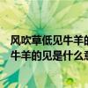 风吹草低见牛羊的见是什么意思体现了草原上（风吹草低见牛羊的见是什么意思）