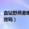 血钻野燕麦唯一官方网站（血钻野燕麦真的有效吗）