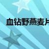 血钻野燕麦片的功效与作用（血钻野燕麦）