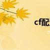 cf配置最低要求（cf配置）