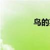 鸟的英文复数（鸟的英文）