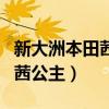 新大洲本田茜茜公主轮胎型号（新大洲本田茜茜公主）