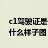 c1驾驶证是什么样子图片高清（c1驾驶证是什么样子图）