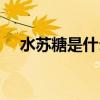 水苏糖是什么植物提取（水苏糖是什么）