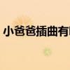 小爸爸插曲有哪些歌名（小爸爸插曲有哪些）