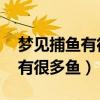 梦见捕鱼有很多鱼奇奇怪怪的鱼（梦见捕鱼 有很多鱼）