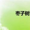 枣子树生虫用什么药（枣子树）