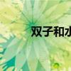 双子和水瓶哪个渣（双子和水瓶）