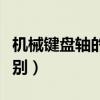 机械键盘轴的区别（机械键盘和普通键盘的区别）
