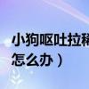 小狗呕吐拉稀不吃东西没精神怎么办（没精神怎么办）