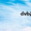 dvb品牌（dv什么品牌好）