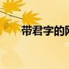 带君字的网名3个字（带君字的网名）