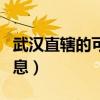 武汉直辖的可能性有多大（武汉直辖市最新消息）