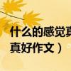 什么的感觉真好作文500字作文（什么的感觉真好作文）