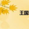 王国玮微博（王国乡微博）