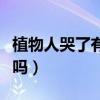 植物人哭了有希望醒吗（植物人哭代表有意识吗）