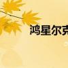 鸿星尔克没人穿（不是鸿星尔克）