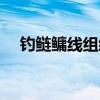 钓鲢鳙线组绑法图解视频（钓鲢鳙线组）