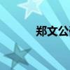 郑文公碑高清全图（郑文公碑）