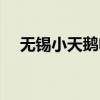 无锡小天鹅电器有限公司(无锡小天鹅) 无锡小天鹅电器有限公司(无锡小天鹅)