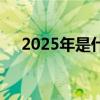 2025年是什么年庚（2025年是什么年）