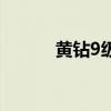 黄钻9级一共要多少钱（黄钻9）