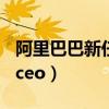 阿里巴巴新任ceo是谁任命的（阿里巴巴新任ceo）