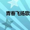 青春飞扬歌曲华语群星（青春飞扬歌曲）