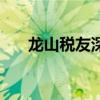 龙山税友深圳分公司电话（龙山税友）