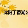 沈阳丁香湖公园好玩吗（沈阳丁香湖公园）