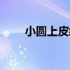 小圆上皮细胞阳性（小圆上皮细胞）