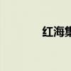 红海集团李晨光（红海集团）