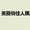 美丽俏佳人魏晨是哪里人（美丽俏佳人魏晨）