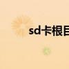 sd卡根目录路径（sd卡根目录下）