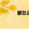 媵怎么读（负箧曳屣怎么读）