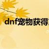 dnf宠物获得方法如下（dnf的宠物怎么得）