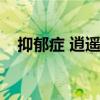 抑郁症 逍遥丸(抑郁症逍遥丸半年见效) 抑郁症 逍遥丸(抑郁症逍遥丸半年见效)