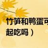 竹笋和鸭蛋可以一起吃吗（咸鸭蛋和竹笋能一起吃吗）