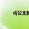 dj公主的工资一般多少（dj公主）