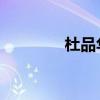 杜品华 本乡门真（杜品华）