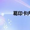 葛印卡内观报名网(内观报名网) 葛印卡内观报名网(内观报名网)