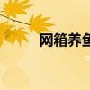 网箱养鱼的网箱制作方法（网箱）