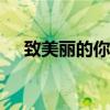 致美丽的你演员名单（致美丽的你exo）