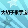 大胡子歌手宝哥美女伴舞视频（大胡子歌手）